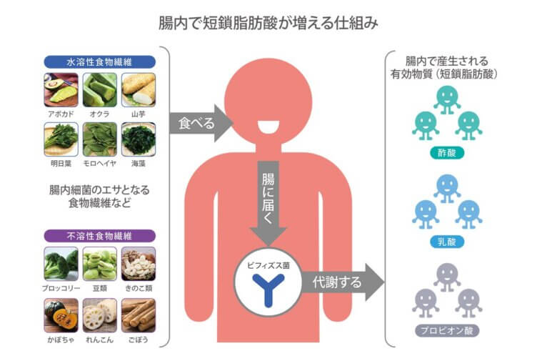 『ケトン体』と『短鎖脂肪酸』との違いは何なのか? ナルメカ(ナルキンのそうなるメカニズム) NaruMECHANISM 『ケトン体』と『短鎖脂肪酸』との違いは何なのか? ナルメカ(ナルキンのそうなるメカニズム) NaruMECHANISM